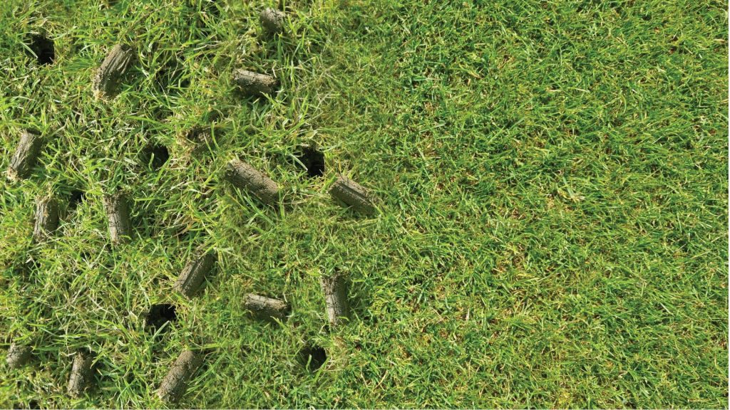 aerate aeration thatch overseed lawn care