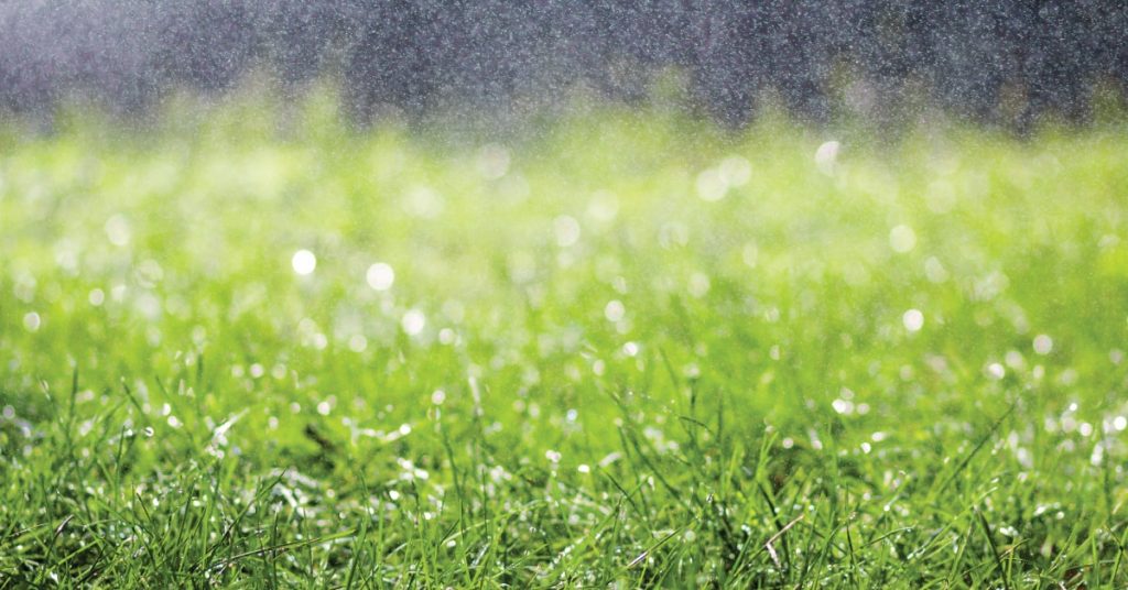 rain lawn care grass