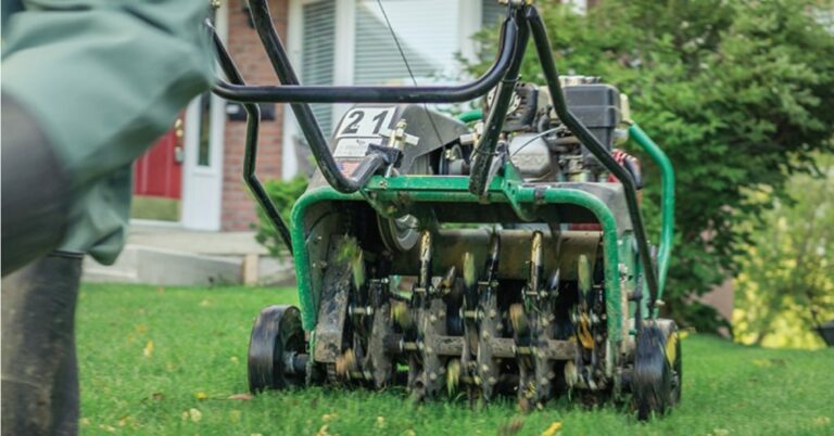 The 7 Best Resources for Aeration and Overseeding – Updated 2020