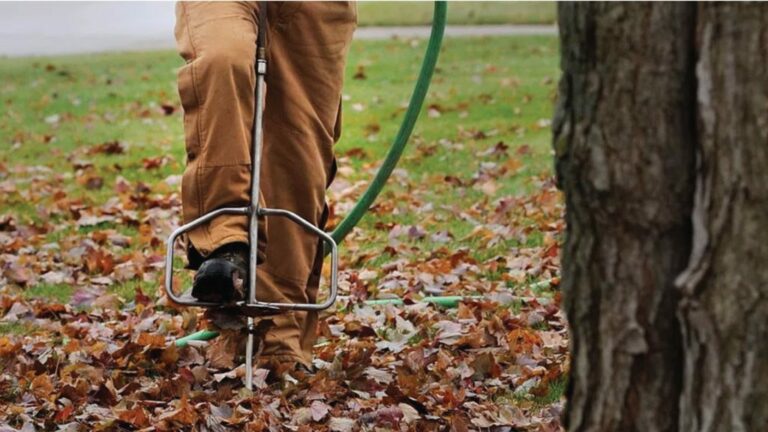 Deep Root Fertilization: The Important Benefits of Feeding Your Trees