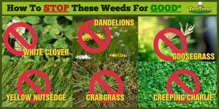 New: 3-Step Pre-Emergent Weed Control