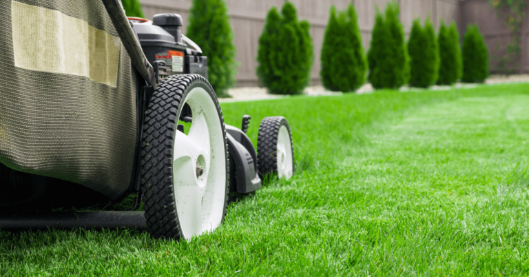 Top 6 Spring Lawn Care Tips