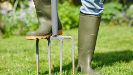 What Is Aeration And Why Is It Good For My Lawn?