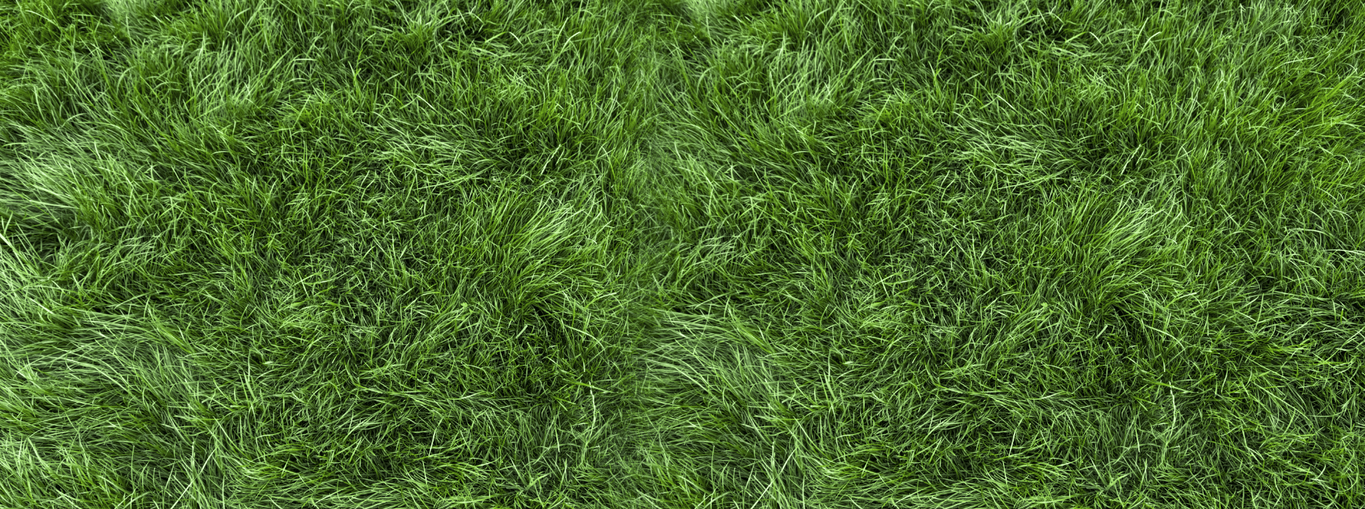 health grass