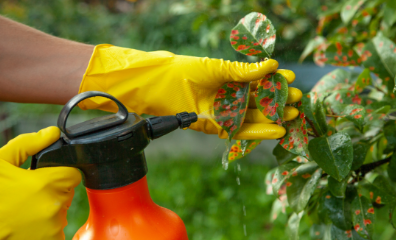pesticide spray canister