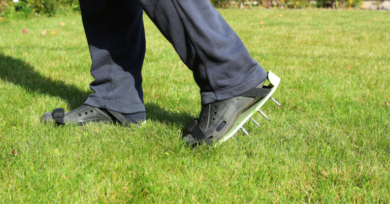 The Importance of Core Aeration for Lawns