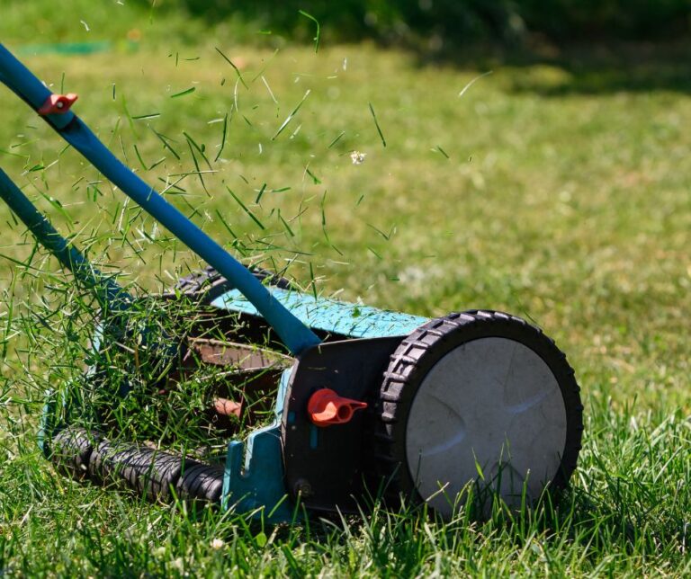 You Want The Natural Approach – Fighting Weeds Without Weed Killer