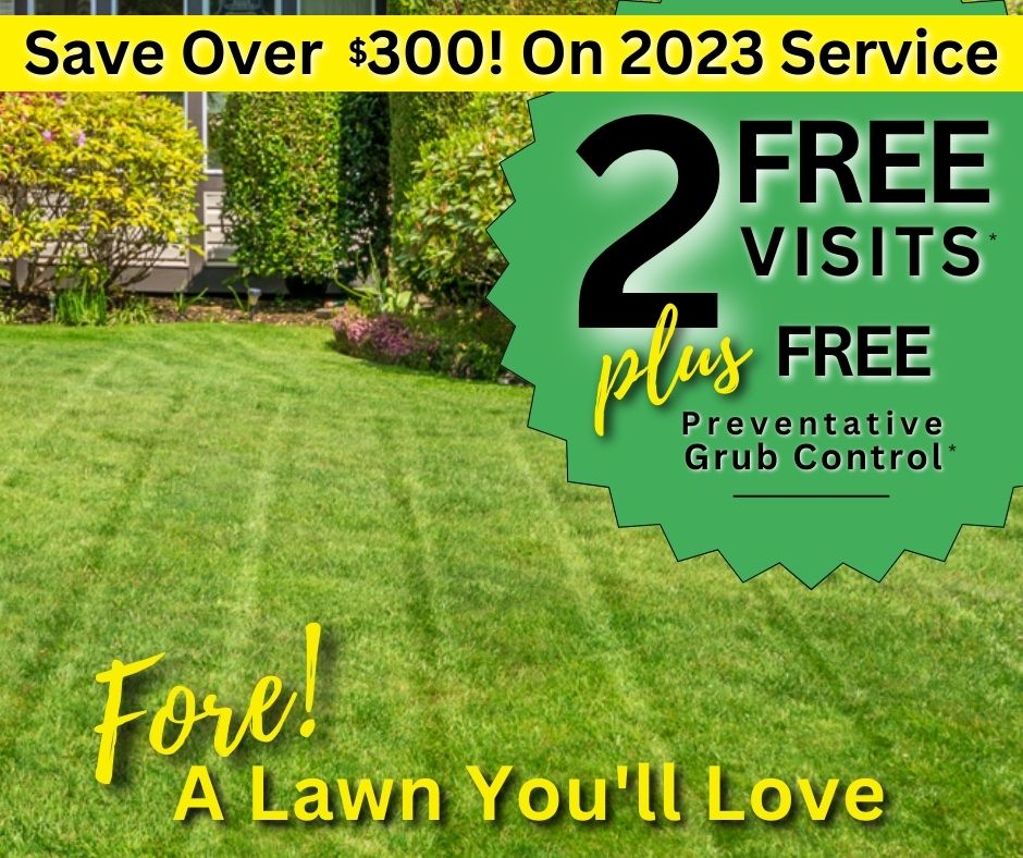 Save Over $300 With Tee Time Lawn Care