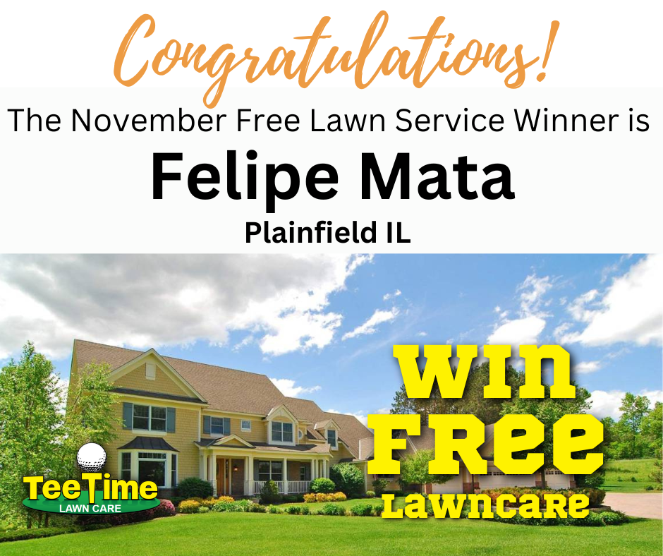 Win Free Lawncare November Winner | Tee Time Lawn Care | Fore! A Lawn You'll Love