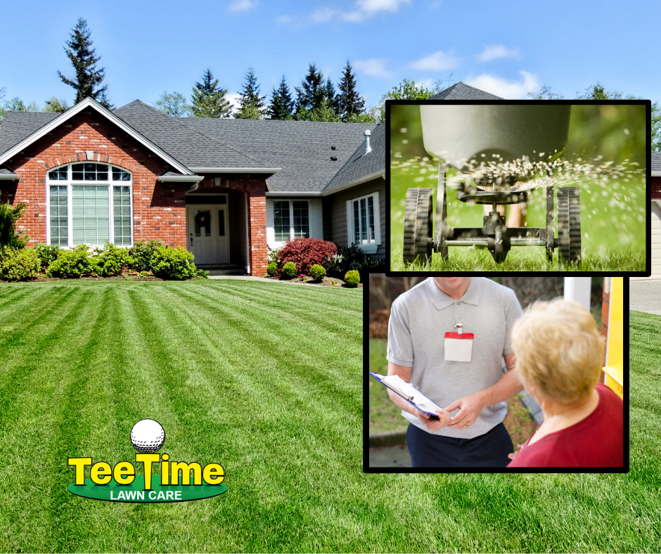 How To Buy Lawn Care Service | Tee Time Lawn Care | Fore! A Lawn You'll Love